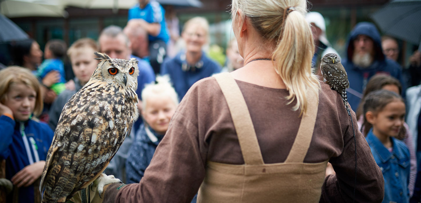 En flok mennesker kigger interesseret på en dame, der står med en ugle på armen og på skulderen.