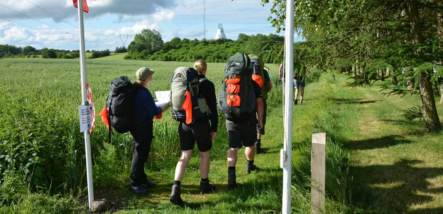 En flok mennesker med vandreoppakning på ved ned af græsbeklædt sti.