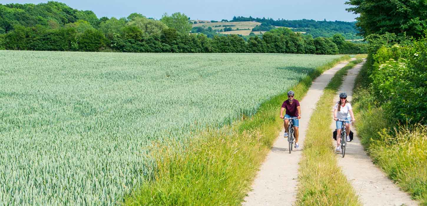 To cyklister cykler af sted i hver deres spor på markvej med grønt græs i midten. Marker og buske til alle sider, bakket landskab i baggrunden.