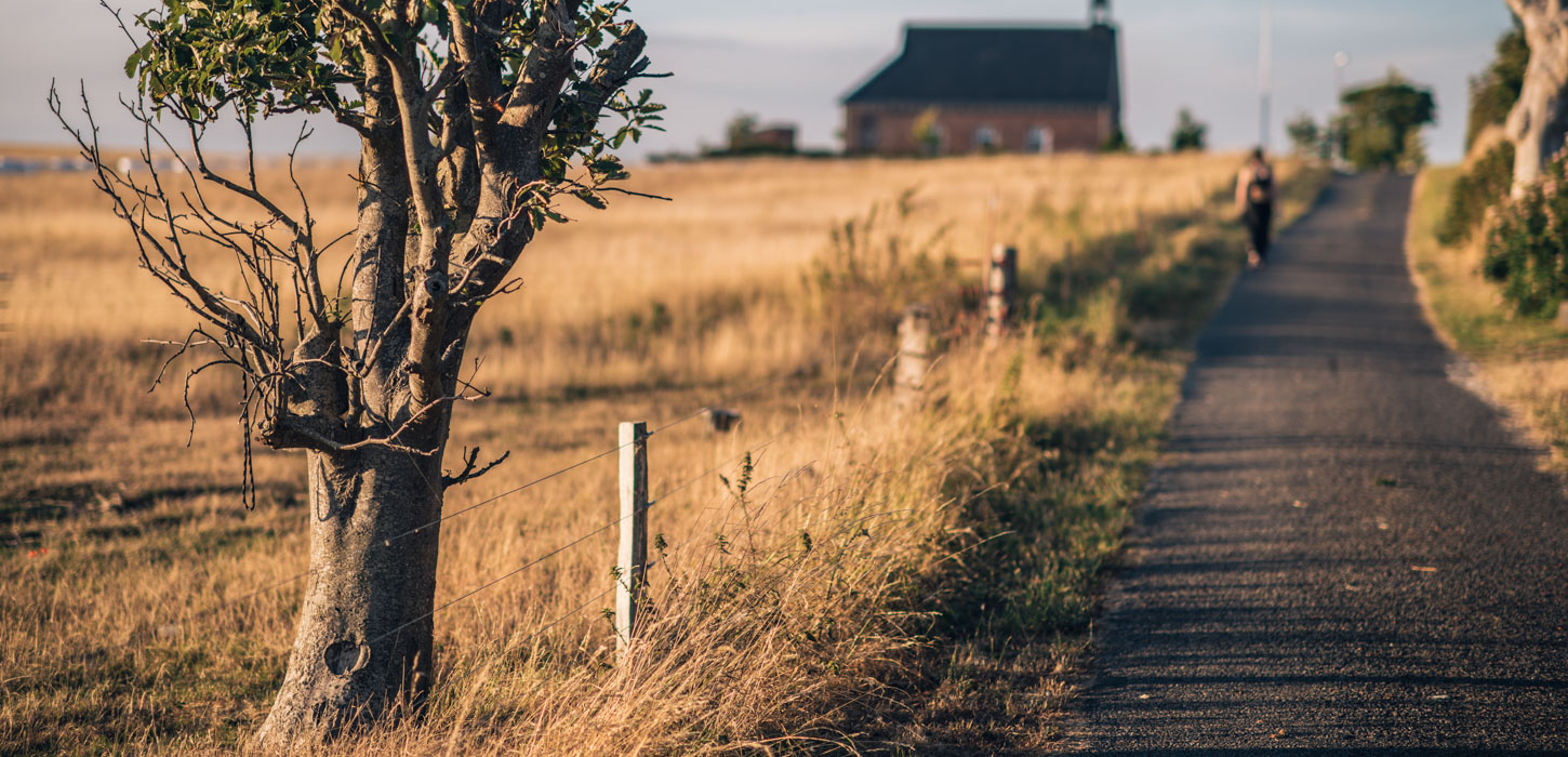 Smal vej omringet af marker med et træ på venstre side og en person længere nede ad vejen.