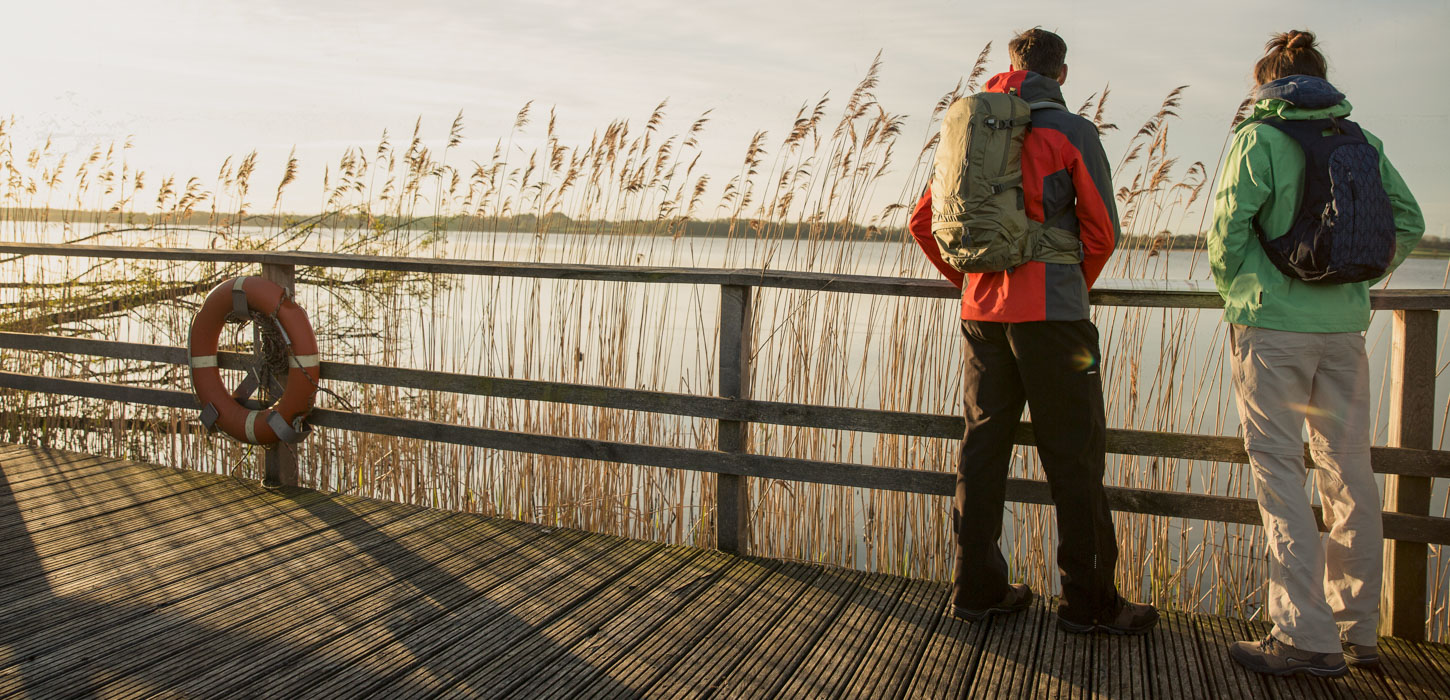 Vandring øhavsstien Fyn Natur