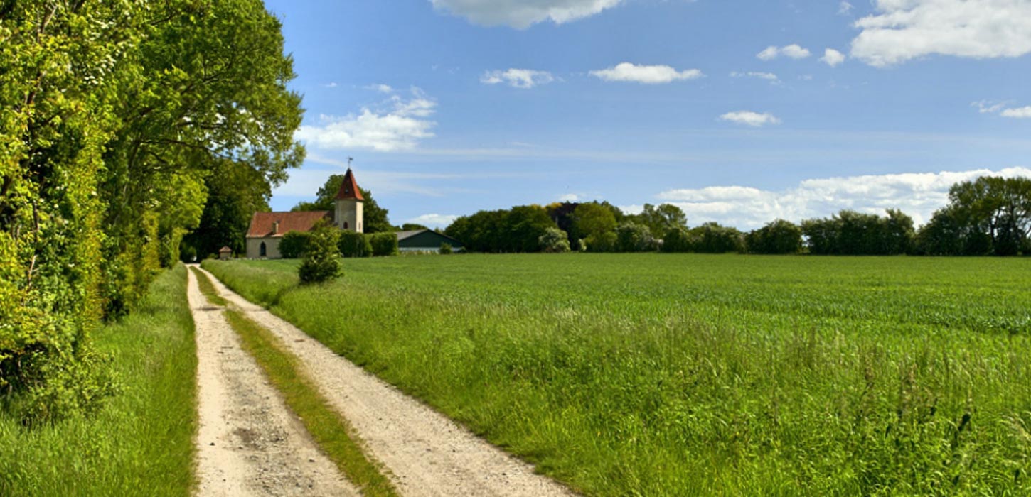 Markvej med et tæt naturhegn af træer til den ene side og en stor grøn mark til den anden side. For enden af markvejen ses en prægtig bygning med røde tage og spir. Høj, blå himmel med hvide skyer i baggrunden.
