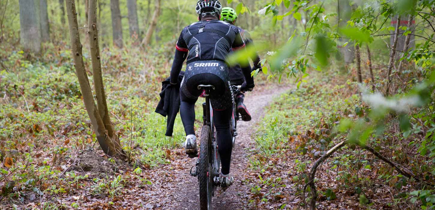 To mountainbikere cykler i skoven, omringet af træer og vildt mos.