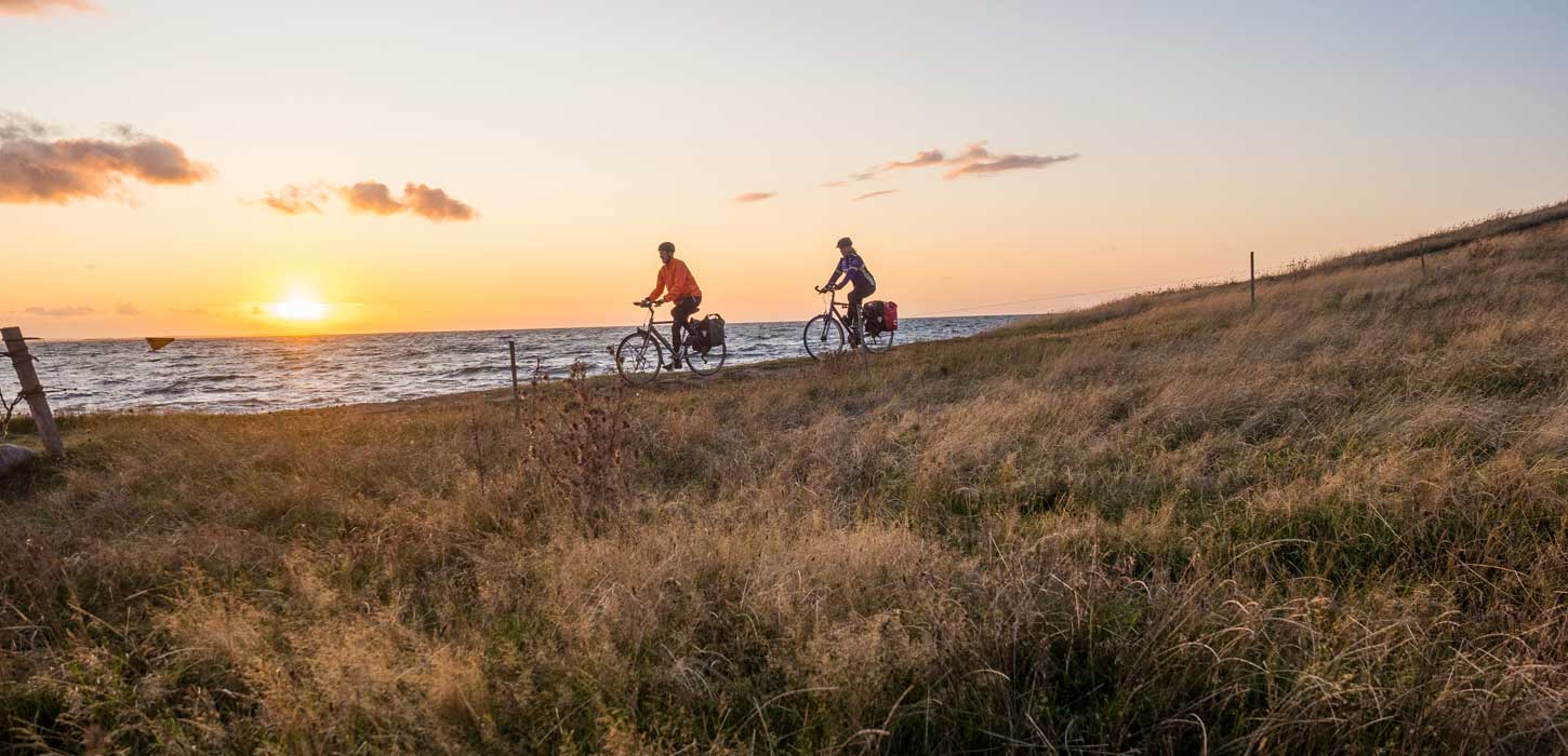 To cyklister kører langs med vandet med solnedgang i baggrunden og bølgende græs i forgrunden.