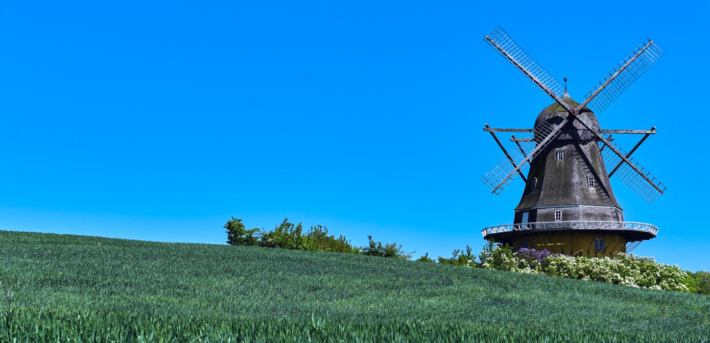 En grøn mark og en skyfri blå himmel mødes i horisonten. I højre side er en grå gammeldags mølle. 