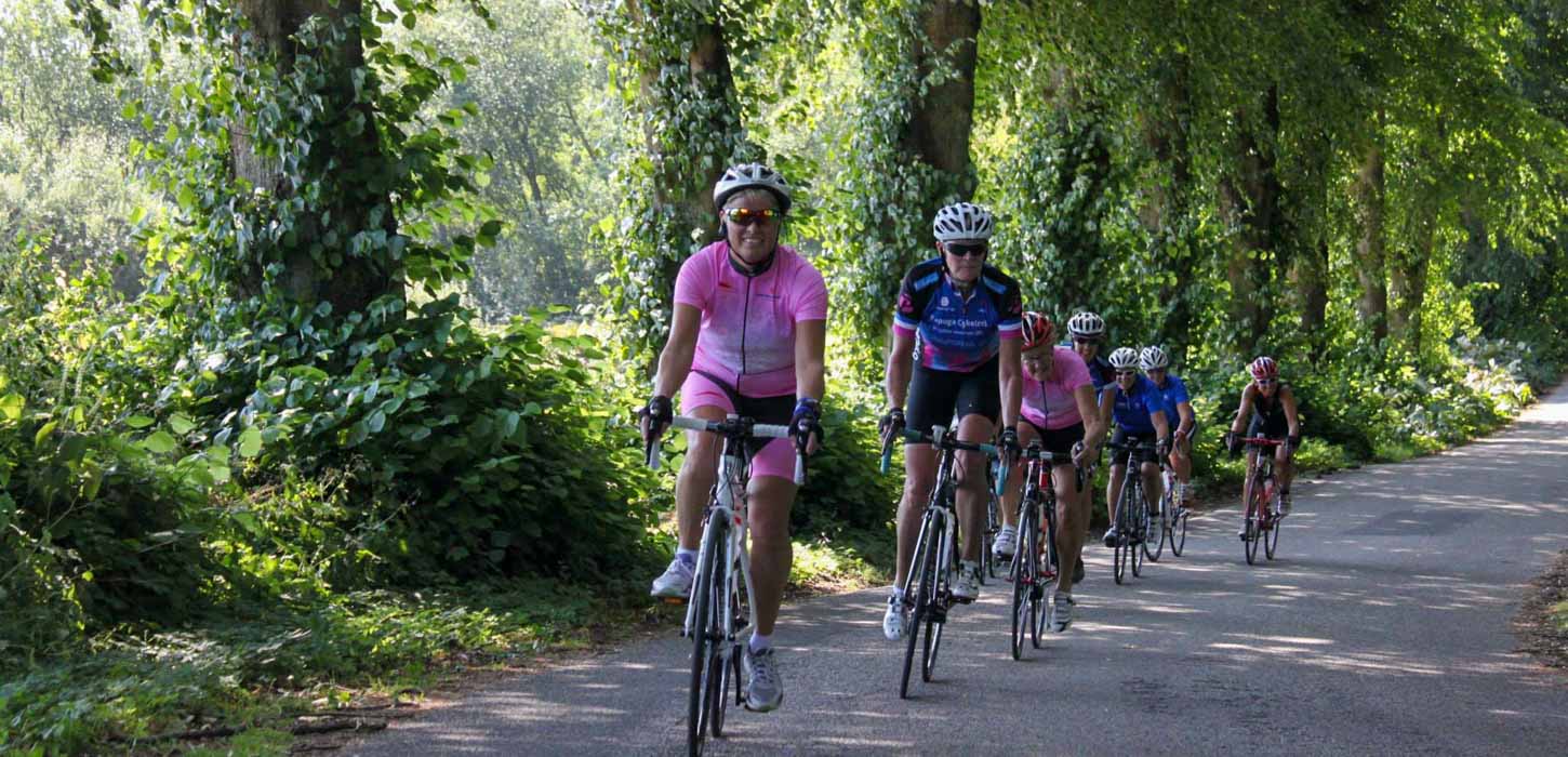 Kvindelige cykelryttere på vej op ad lille bakke med store træer i baggrunden.