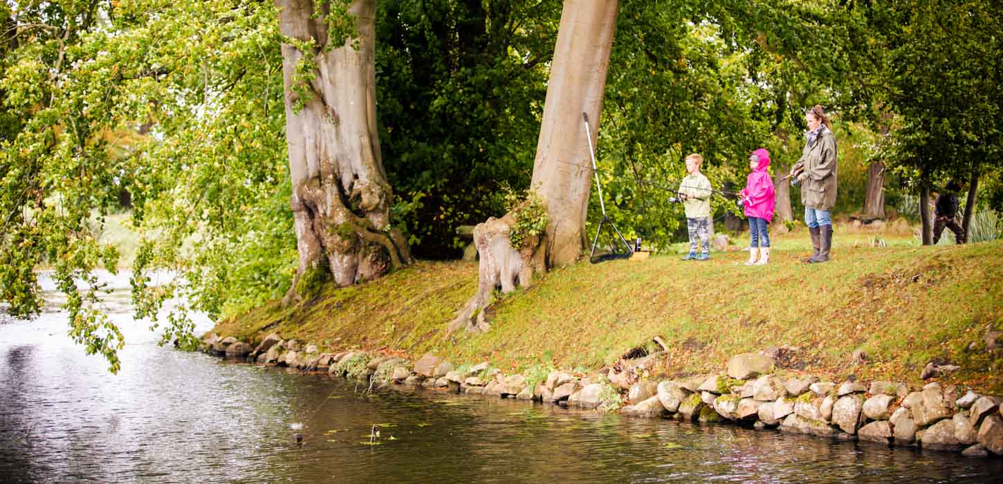 To børn og en kvinde står og fisker på en grøn skrænt, der bliver holdt af store kampesten., omgivet af store, grønne træer, der læner sig ud over vandet.