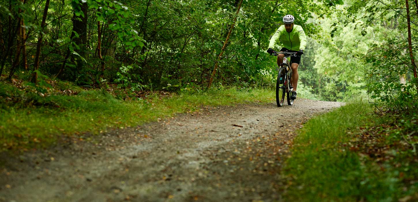 En mountainbike-rytter cykler igennem en grøn skov på en sti.