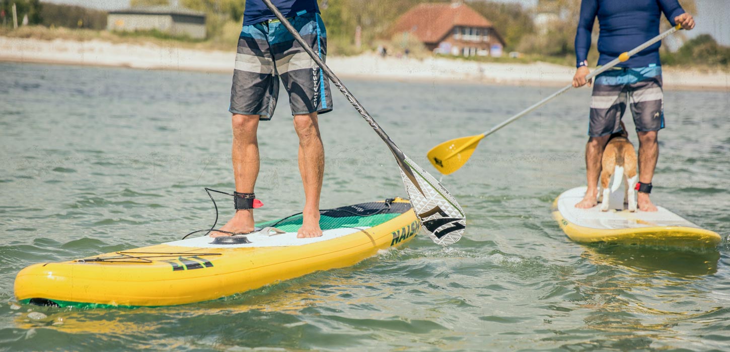 Personer på stand up paddle boards ved siden af hinanden i vandet
