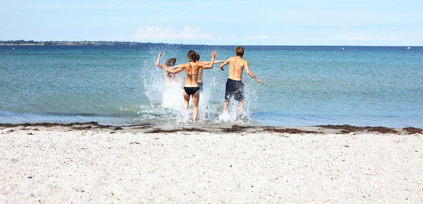 venner strand ærø vand sommer 