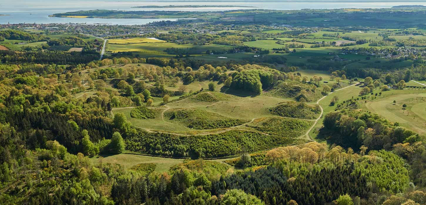 Dronebillede over åbent, grønt område med bakker og træer.