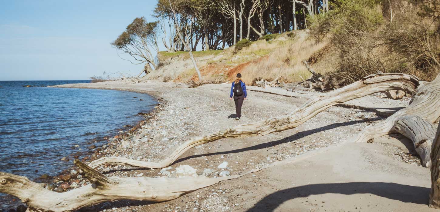 vandring vandreferie æbelø fyn ø øhav hav natur