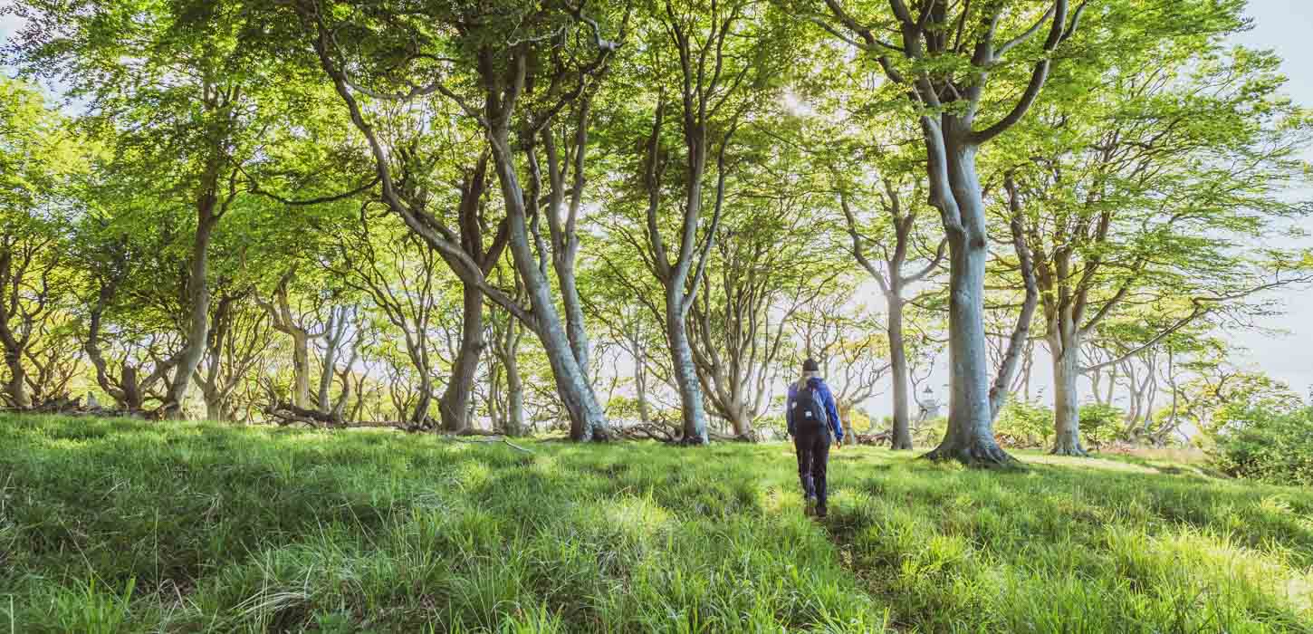 vandring vandreferie æbelø fyn ø øhav hav natur