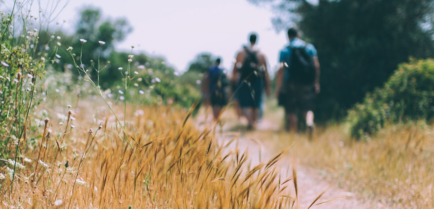 vandring sommer forår natur vandretur vandreferie