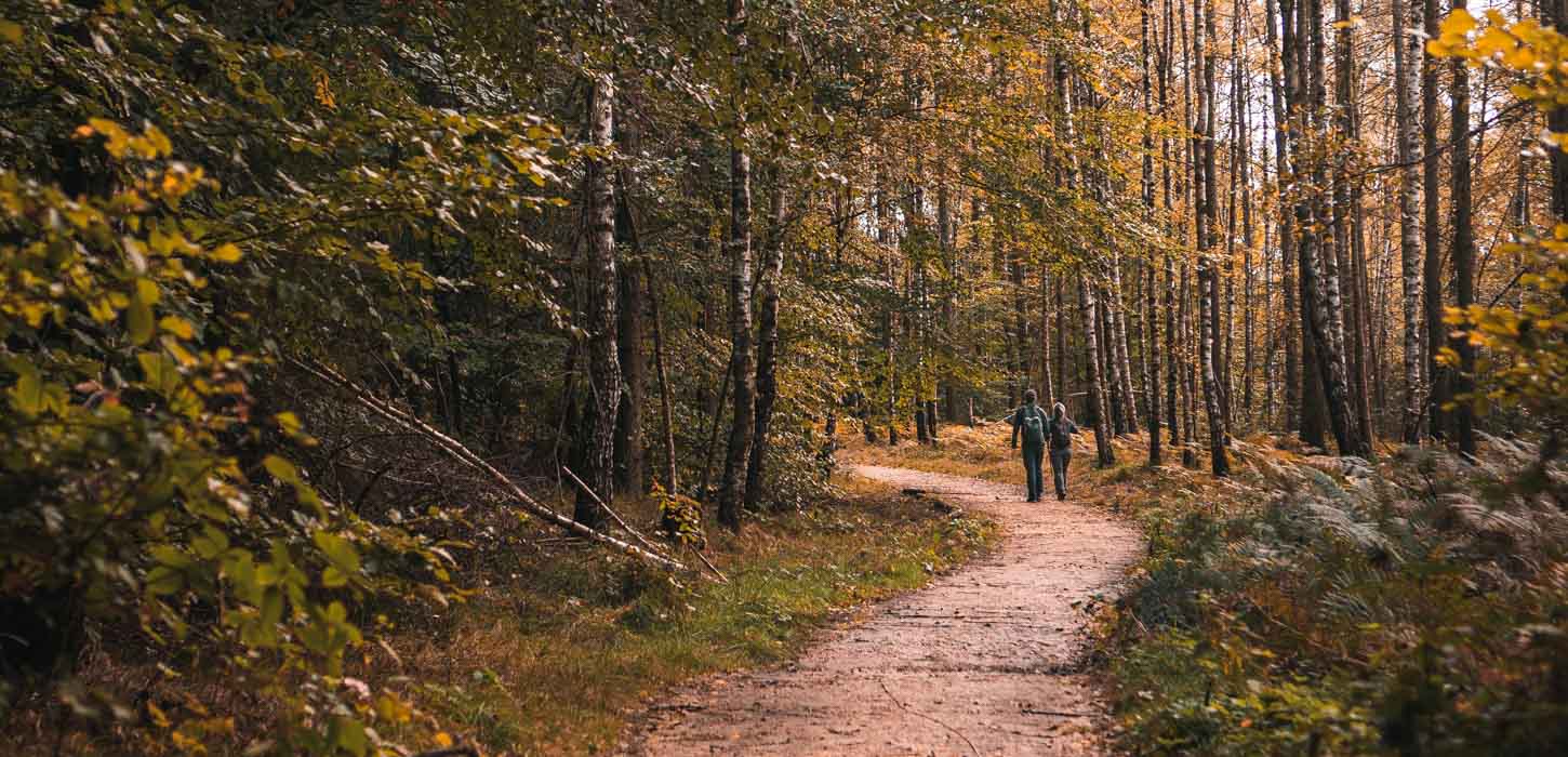 Et par er på vandring i en efterårsskov i varme farver.