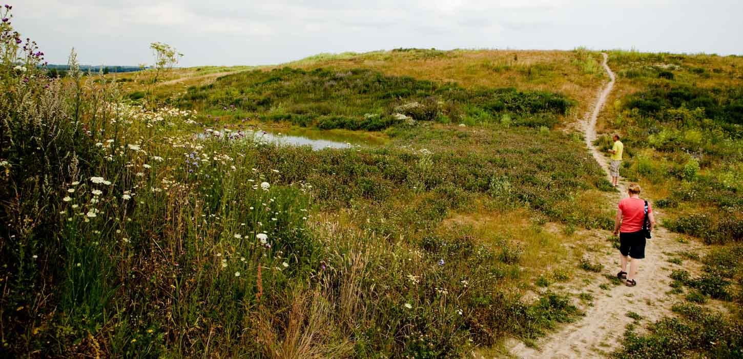 Et par går langs en sandsti gennem et grønt og vildt terræn.
