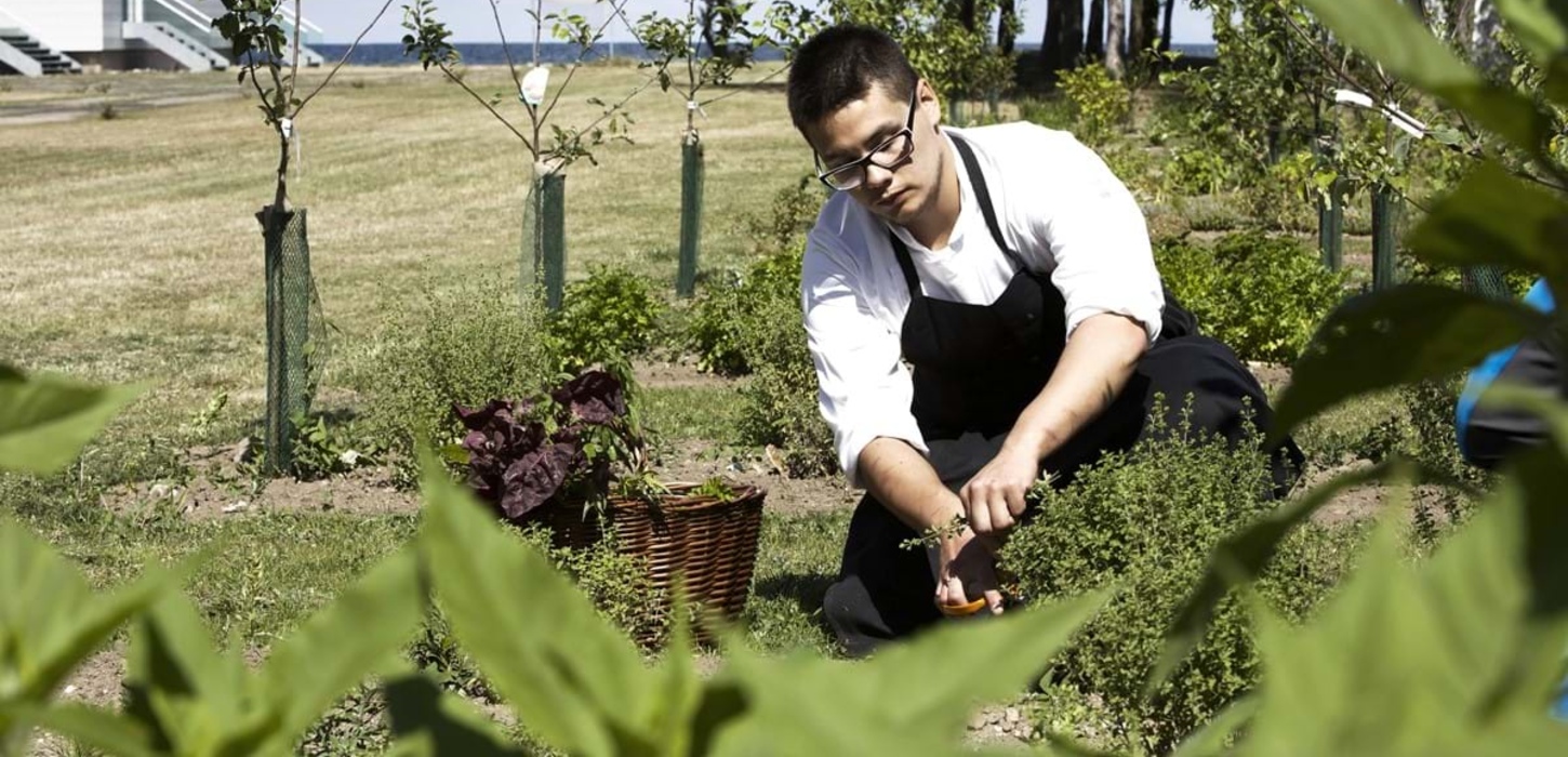 Mand sidder på knæ i en urtehave.