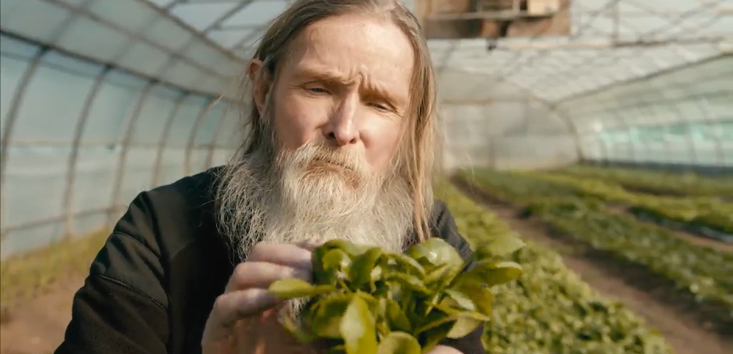 Nærbillede af mand med langt hår og langt hvidt skæg, der holder en grøn plante op.