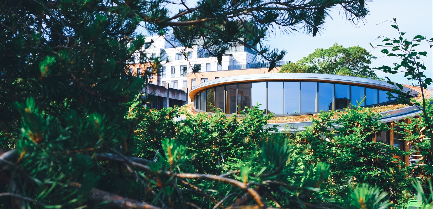 Bagved et træs grønne grene ses bygningen fra H.c. Andersens hus museum.