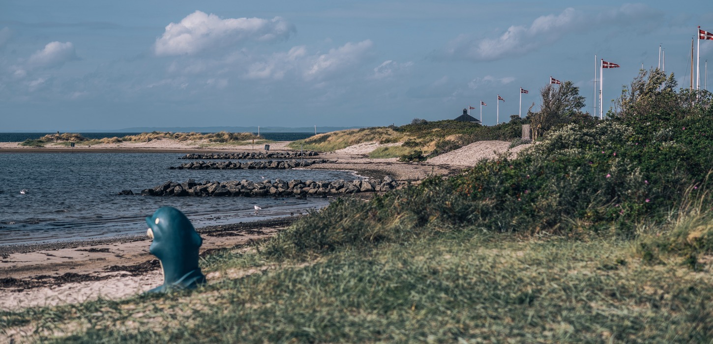 Vandkanten ved Bogense strand marina med stendiger ud i vandet, hvid sandstrand og grønne buske og græsser. I forgrunden en affaldsspand, der ligner en delfin. 