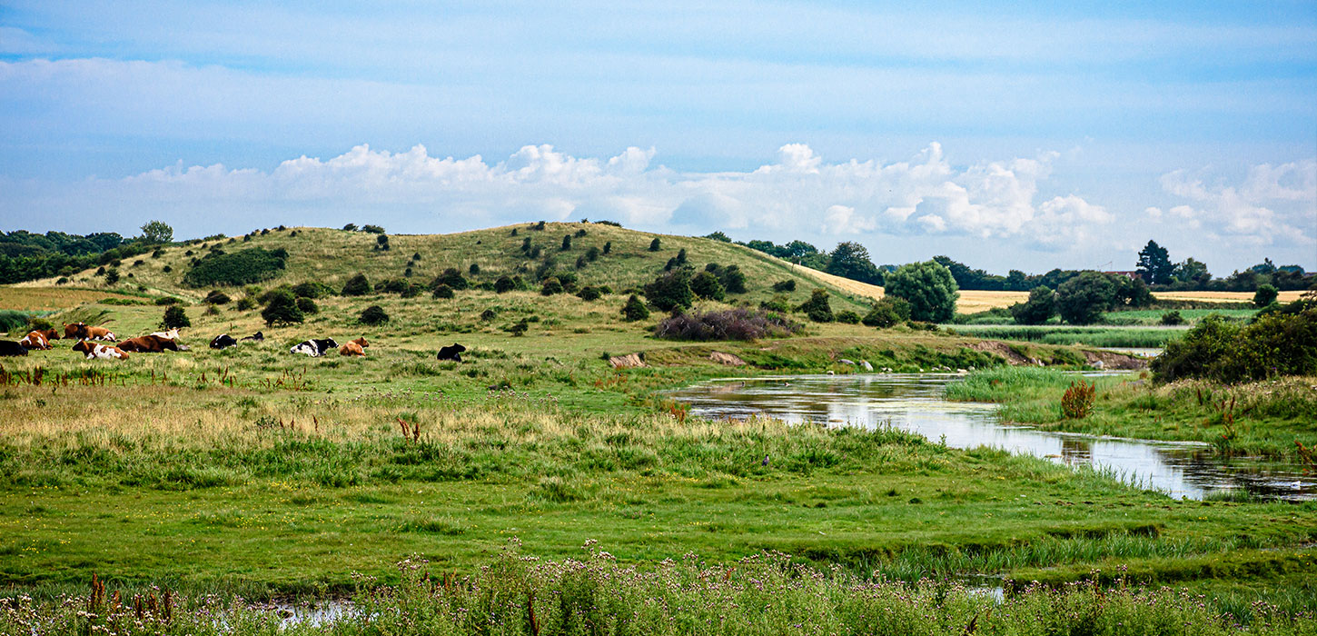 Grønne marker, bakker, buske, træer og små søer. Blå himmel og havremarker i baggrunden.