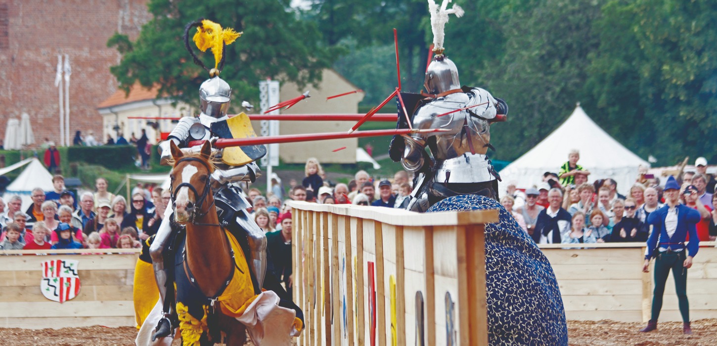 Danehof i nyborg event 