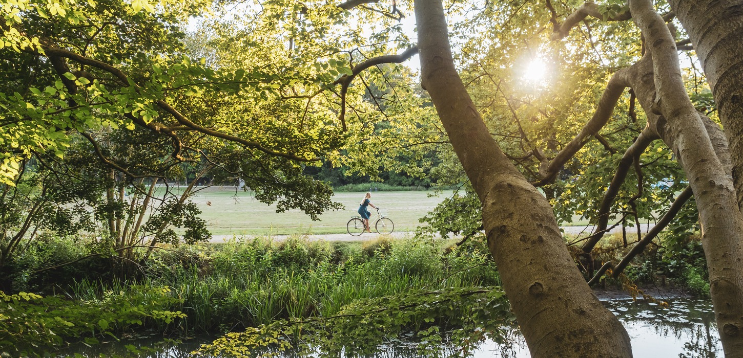 Gennem grene og blade ved sø anes cyklist på sti i baggrunden.