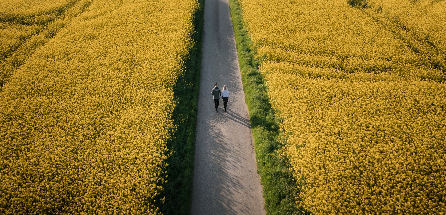 En smal vej gennemskærer en gul, solbeskinnet raspmark. Billedet er taget oppefra, så vejen skærer billedet over i to. Der går to mennesker på vejen.
