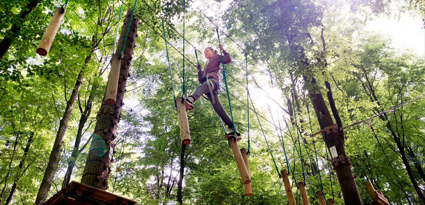 Person, der er spændt fast med karabinhager på wire, går på pæle i trætoppene.