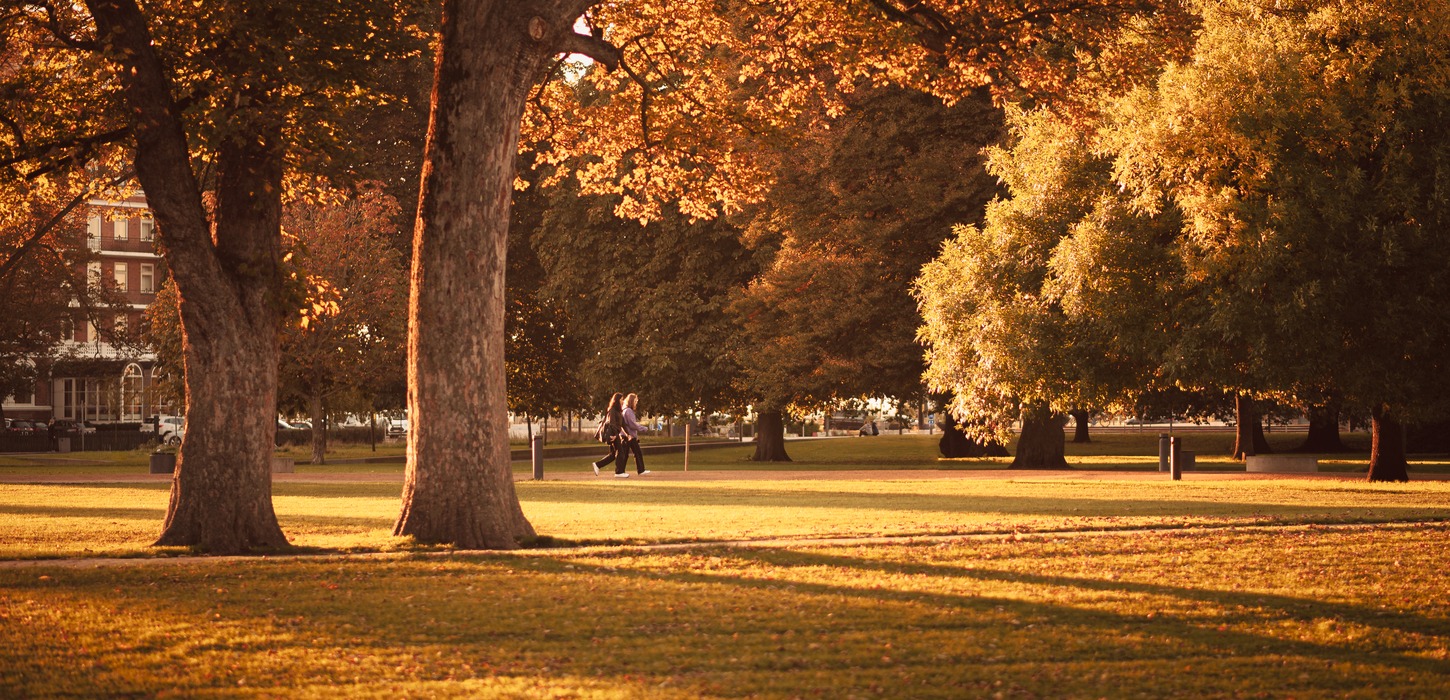 Efterårsfarver på træerne og lange skygger i Kongens Have i Odense.