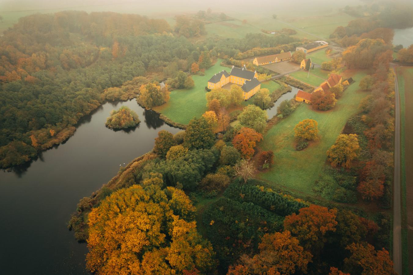 En dronefoto af efterårsfarvet skov der omgiver en gul herregård der ligger ned til vandet. 