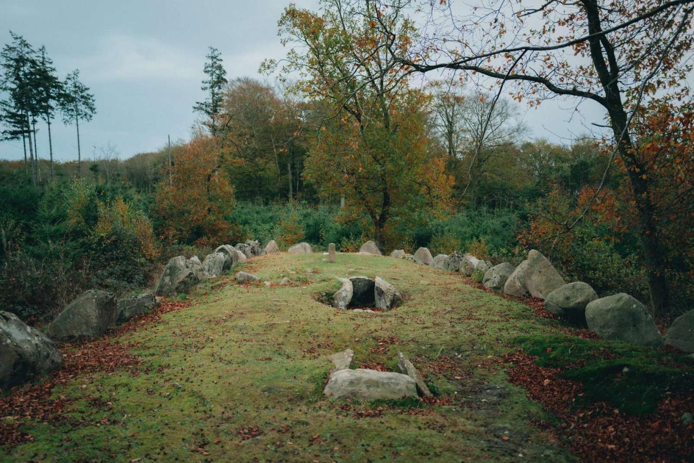 En lille græsplæne placeret i midten af en skov. På plænen ligger der store sten, som er lagt i cirkler. 