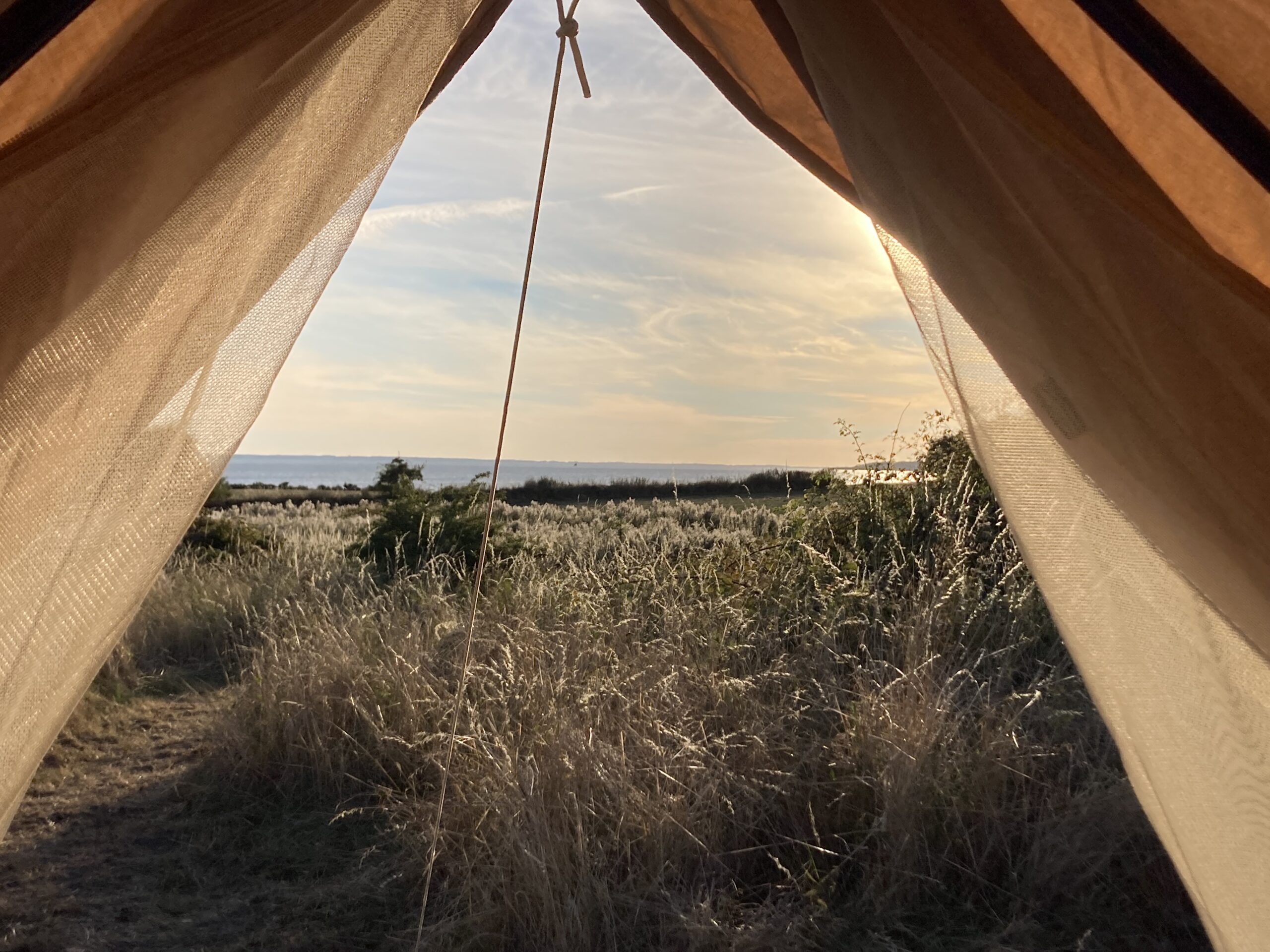 Udsigt fra telt ud mod mark og hav i det fjerne.