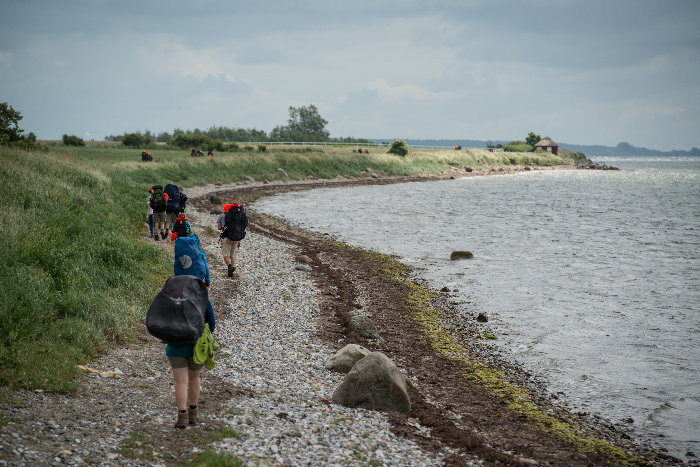 Syv vandrere med hver deres vandrerygsæk går ved strandkanten langs vandet.