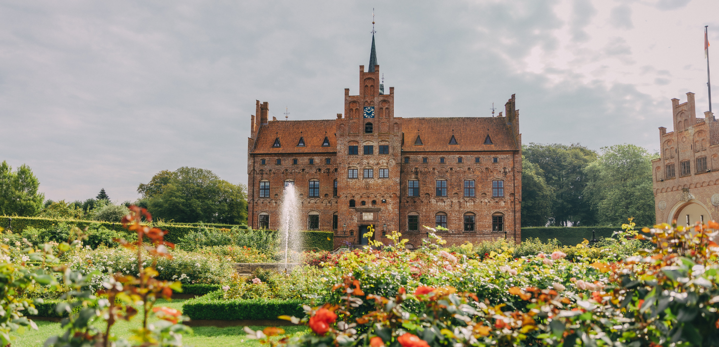 Egeskov Slot med rosenhave med blomstrende roser i forgrunden