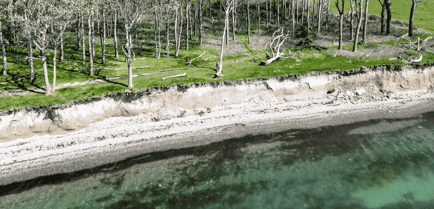 Strand, klint, græs og træer 