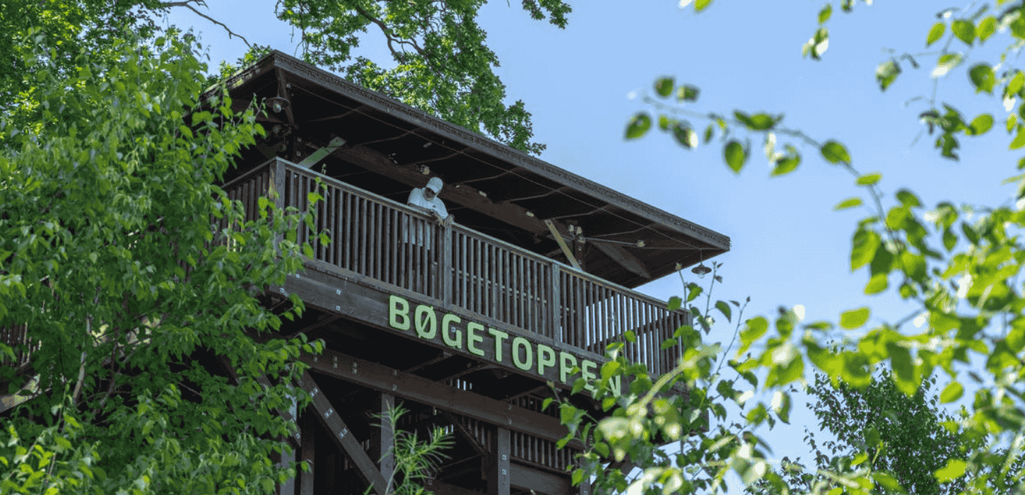 En træhytte højt oppe i træerne, hvor der står en mand 