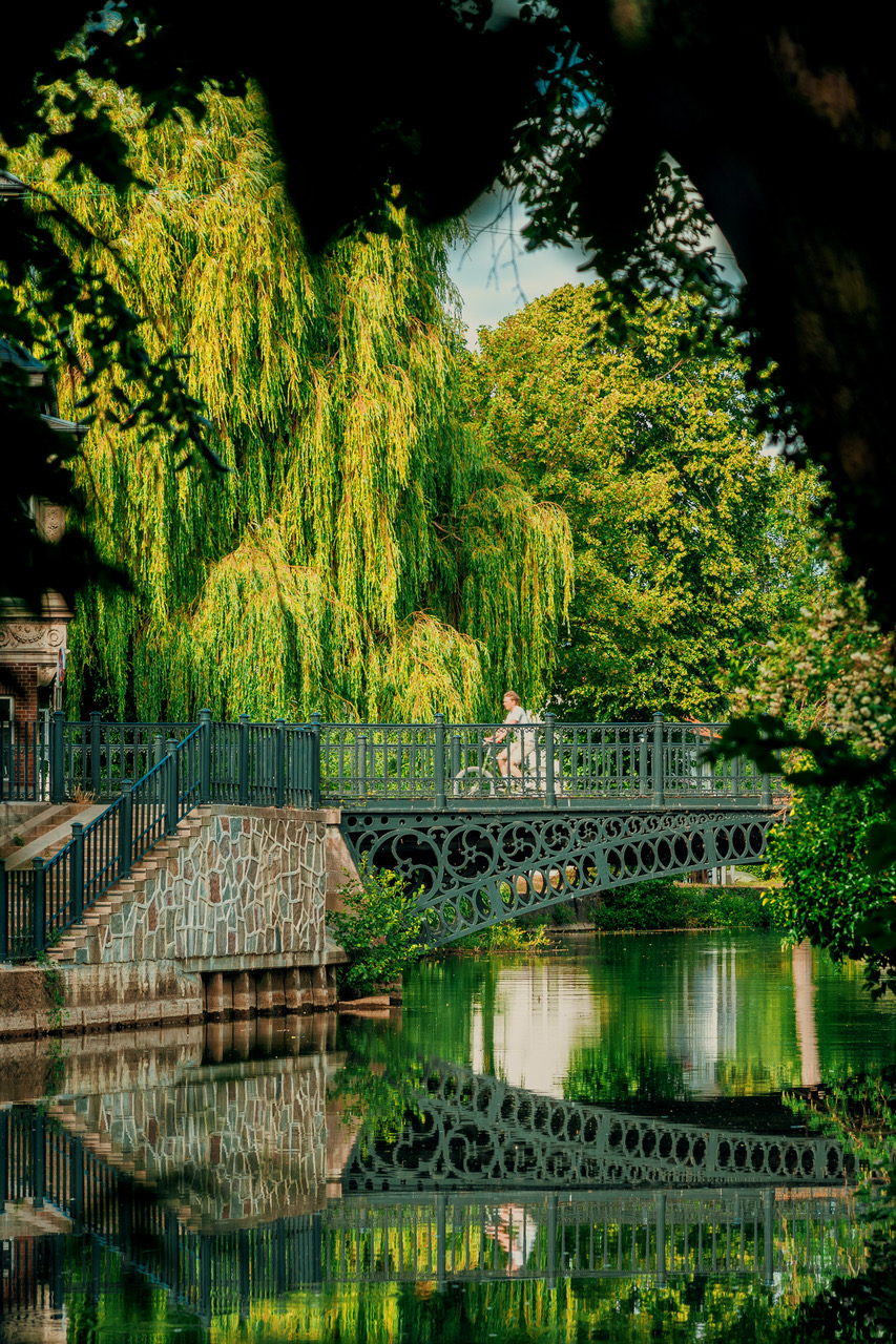 En cyklist krydser en bro over Odense Å med grønne træer og beplantninger