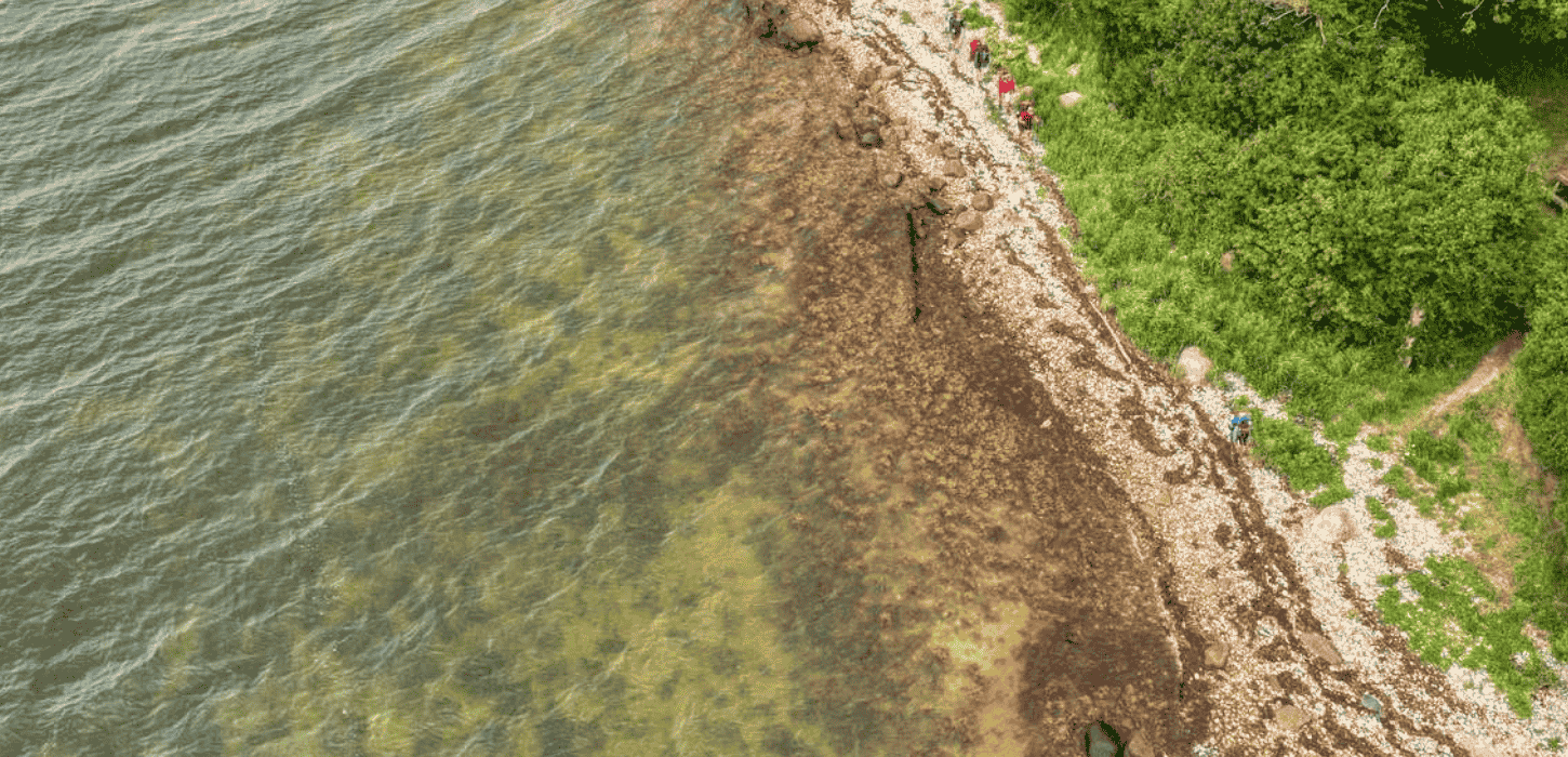 Et luftfoto af fire vandrere med oppakning, der går på en strand med havet til den ene side og grøn skov til den anden