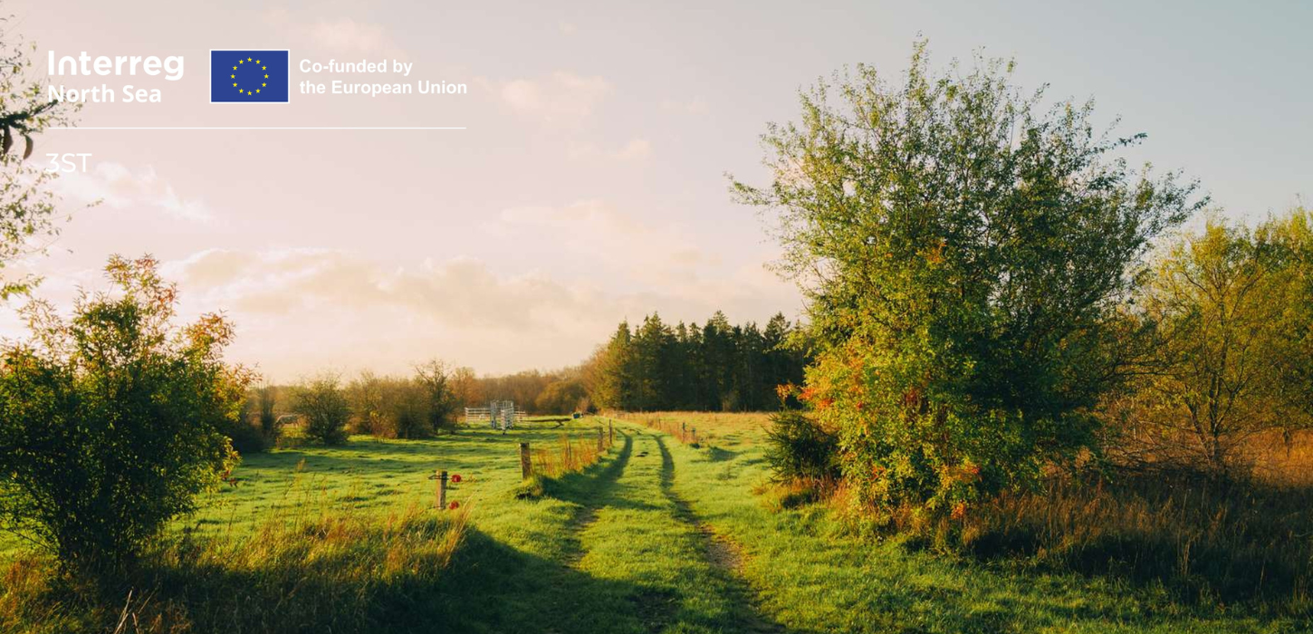 Markvej snor sig gennem landskab med grønne buske og græs.