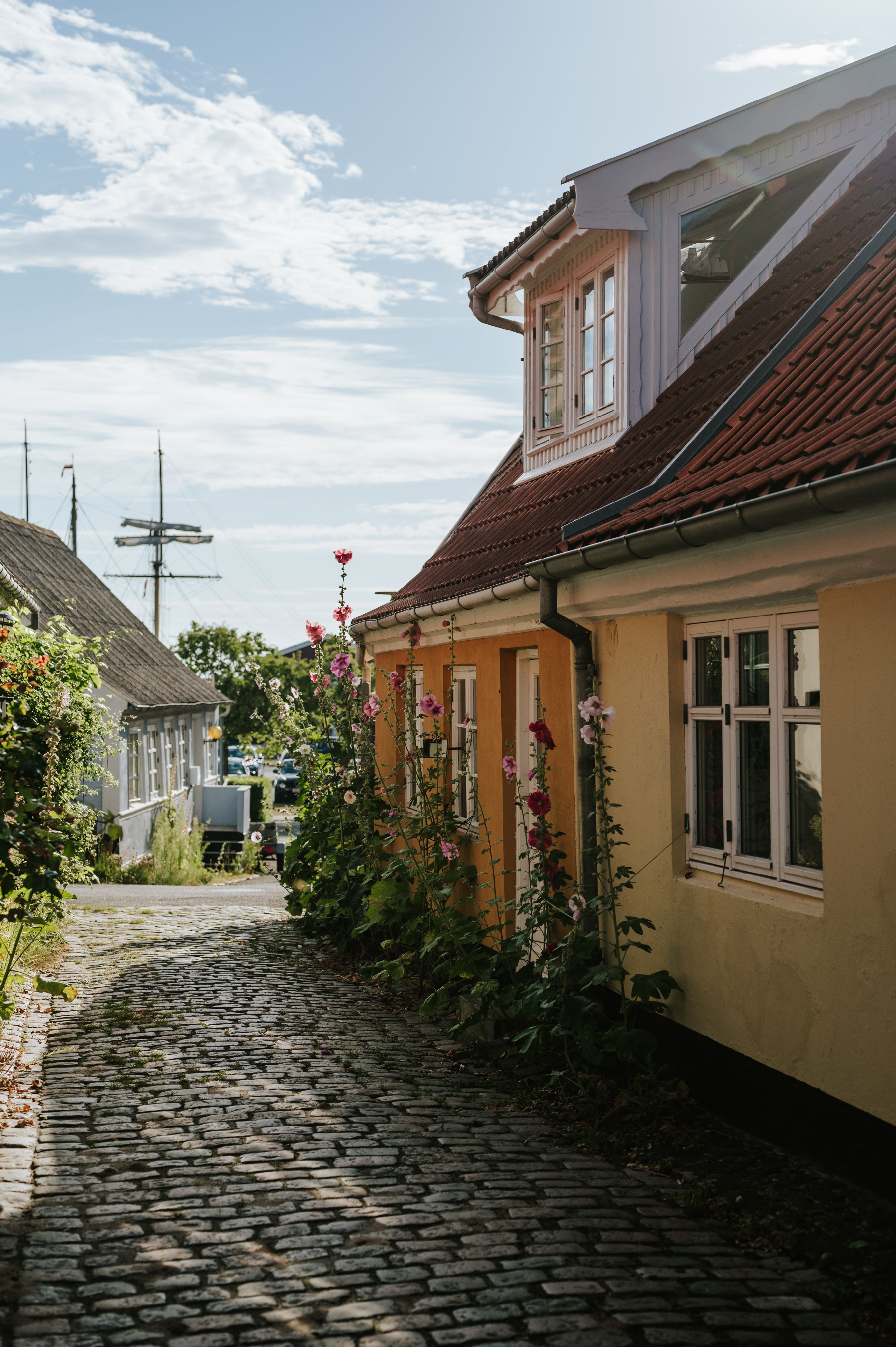 Husfacade på ældre byhus med brosten og stokroser foran