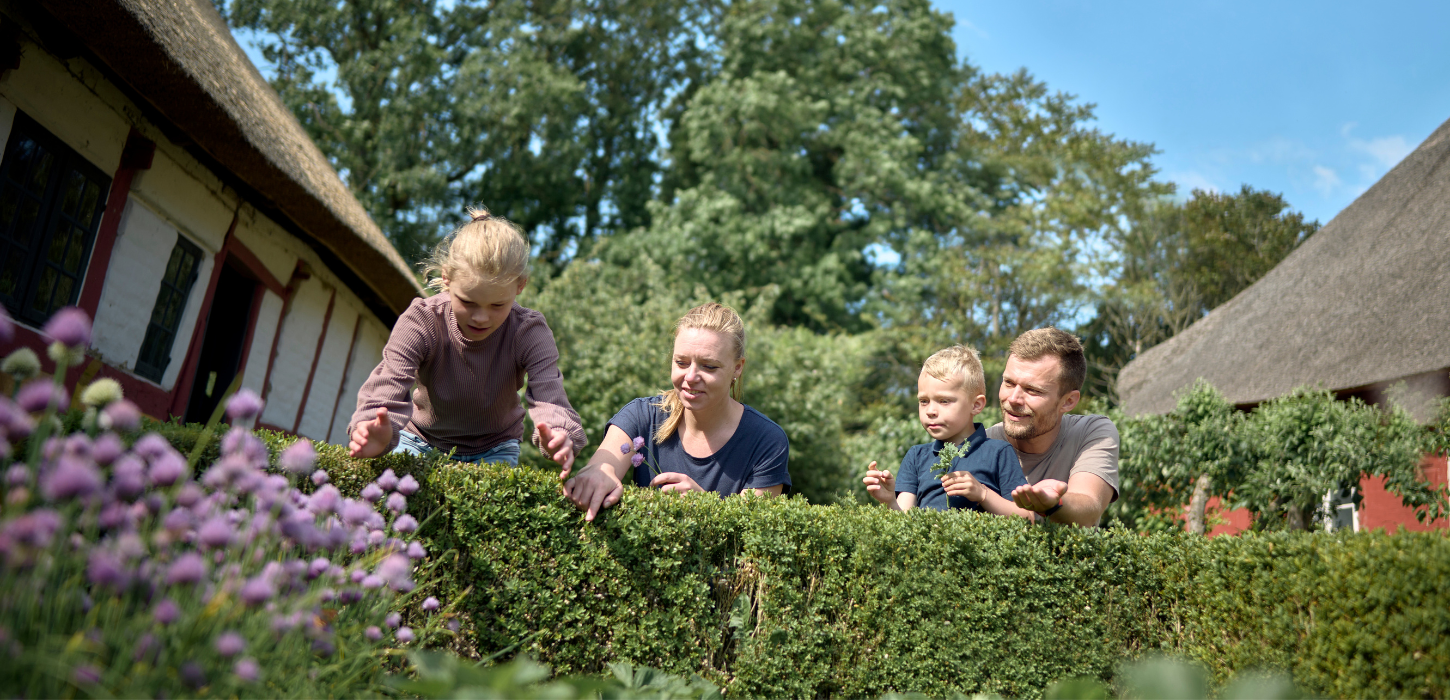 Familie med to voksne og to børn kigger og peger over hækken i Den Fynske Landsbytokroser.