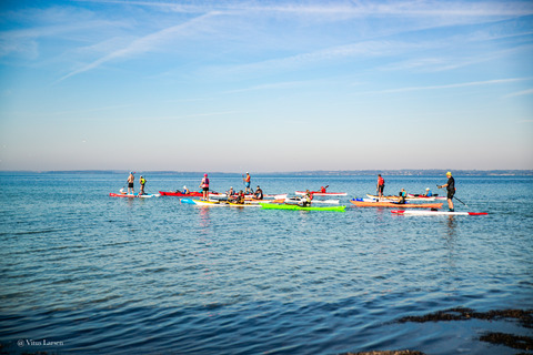 En håndfuld stand up paddle-boardere paddler rundt på åbent havn en sommerdag