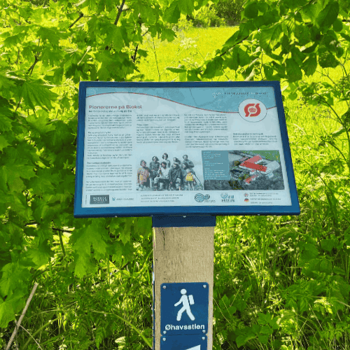 Et skilt med grønt i baggrunden