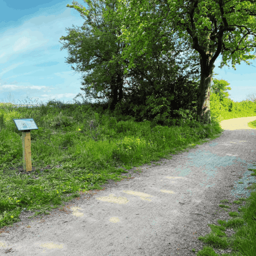 Et skilt står langs en grussti på en skyfri dag med et træ og grønt græs i baggrunden