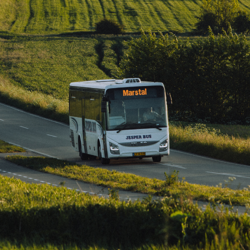 En hvid bus kører blandt grønne marker ned ad bakke på en sommerdag