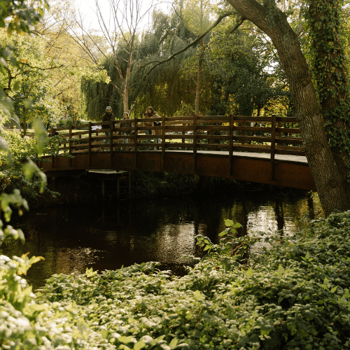 En familie står på en bro, der går over Odense Å og med grønne træer og planter der omkranser billedet.