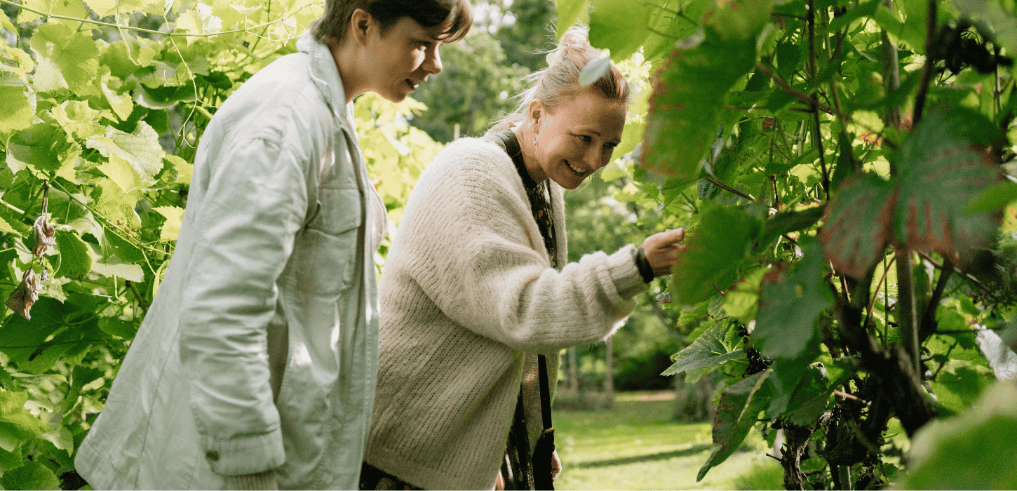 To kvinder kigger på druer på en vinmark