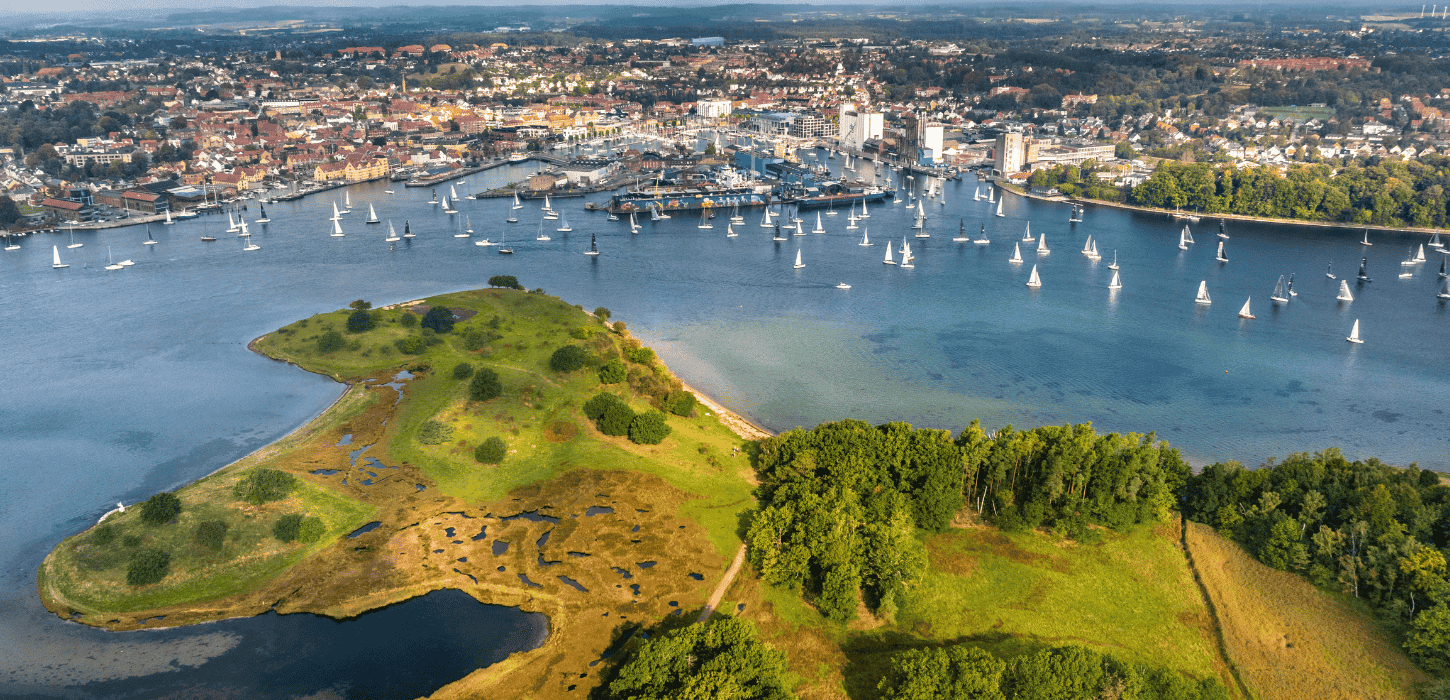Et luftfoto af en masse Silverrudders under den årlige sejlads ved Svendborg Sund