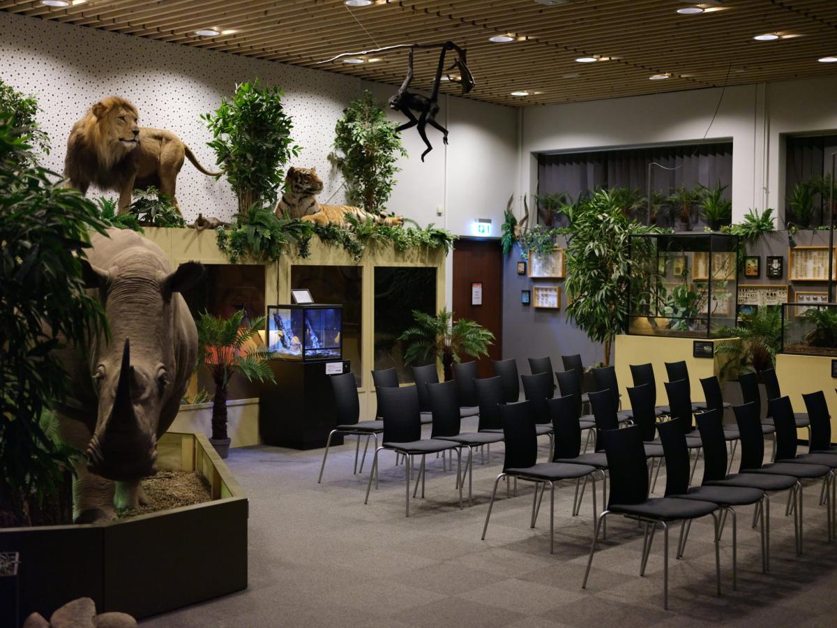 Mødelokale med stolerækker og udstoppede dyr i baggrunden